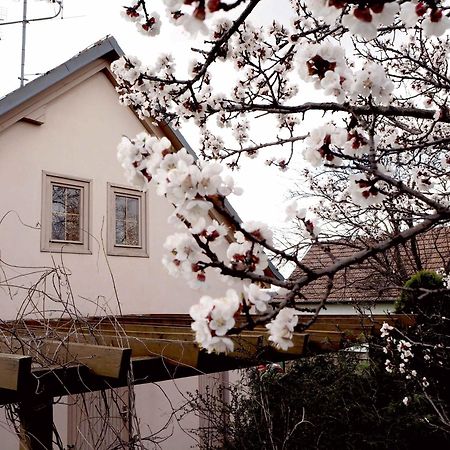 Ubytovani U Krizu Bulhary Zewnętrze zdjęcie