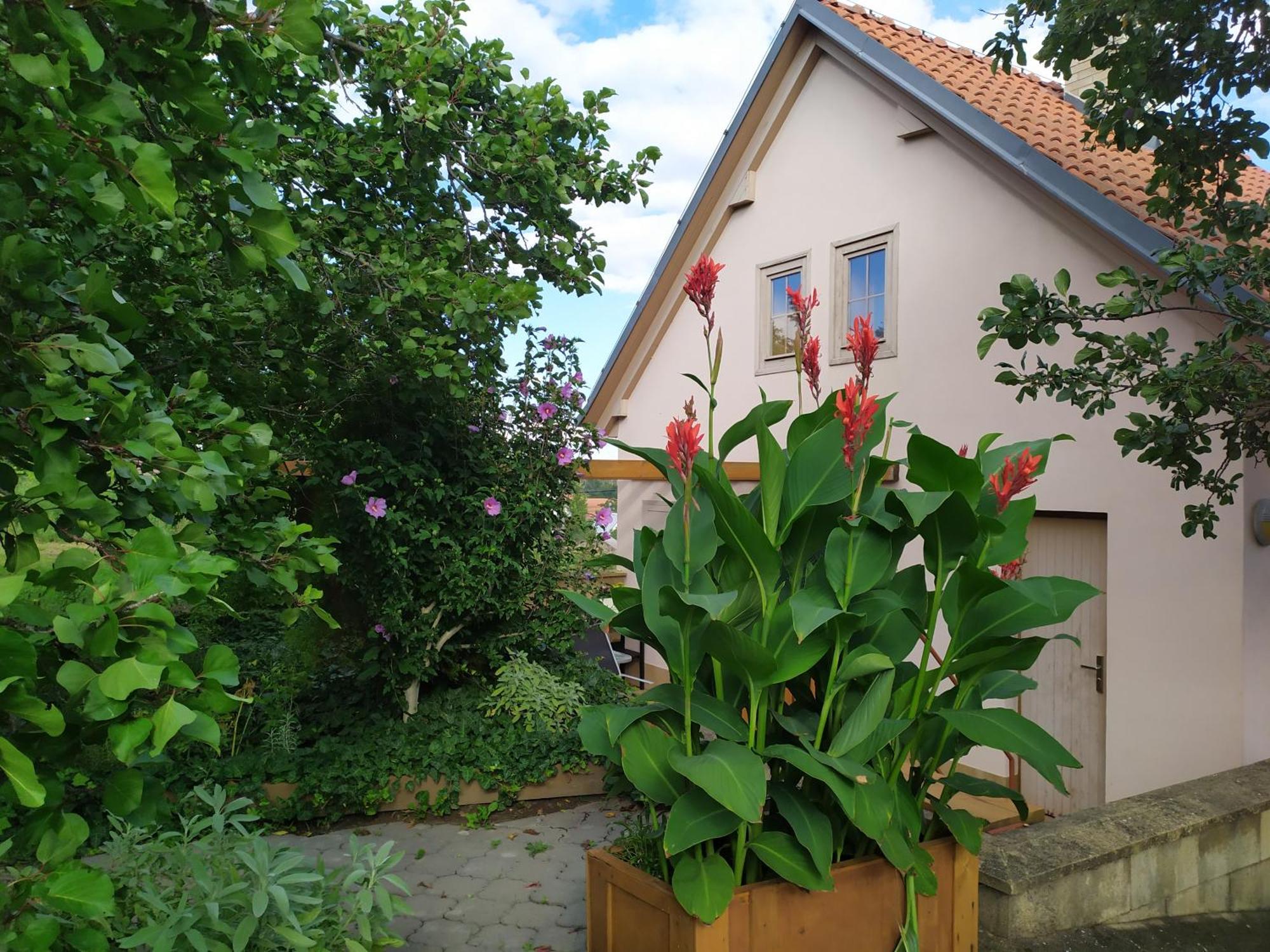 Ubytovani U Krizu Bulhary Zewnętrze zdjęcie